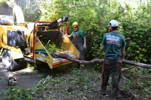 tree services Kathleen